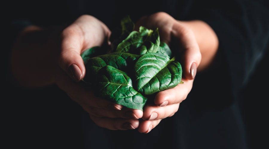 leafy greens spinach